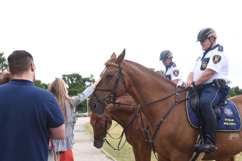 Piknik z Policją na Pergoli - 13.07.2025