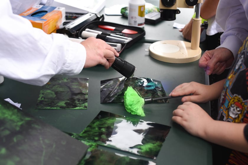 Piknik z Policją na Pergoli - 13.07.2025