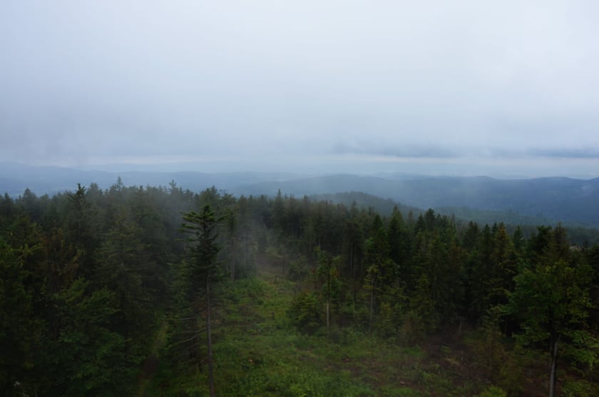 Widok z wieży na Bor&oacute;wkowej