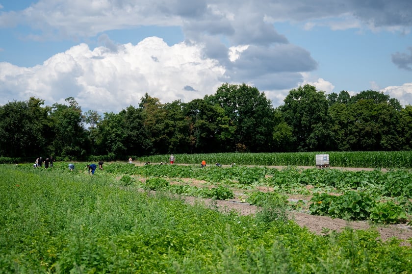 Spotkanie na Farmie Miejskiej, 18 lipca 2025