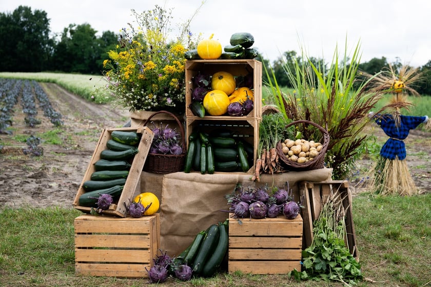 Spotkanie na Farmie Miejskiej, 18 lipca 2025