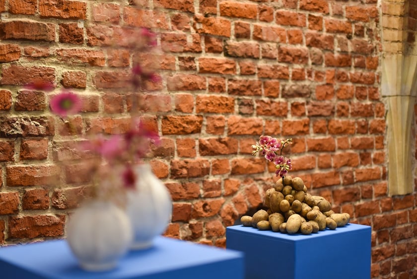 Takie kompozycje obejrzymy do 20 lipca na wystawie w Muzeum Architektury