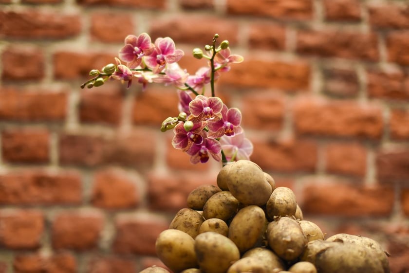 Takie kompozycje obejrzymy do 20 lipca na wystawie w Muzeum Architektury