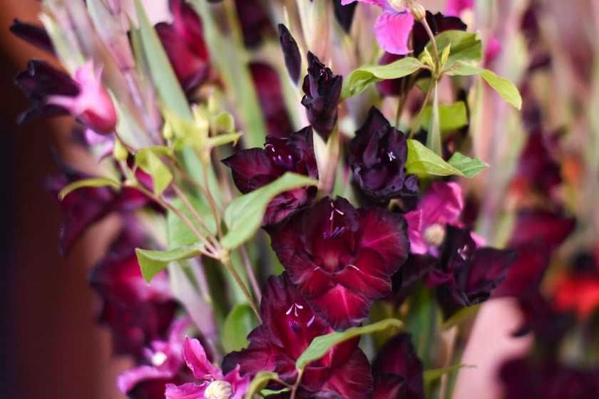 Takie kompozycje obejrzymy do 20 lipca na wystawie w Muzeum Architektury