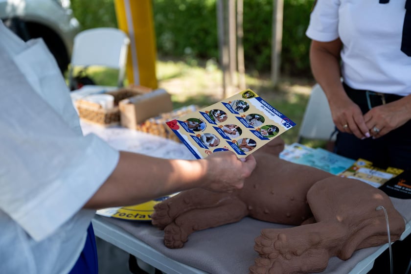 Piknik „Bezpieczny Wrocław - nad wodą” na Gliniankach - 20 lipca 2025 r.