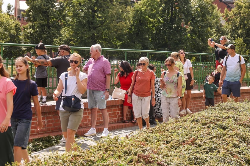 Lato w mieście. Wrocławianie spacerują nad Odrą i na Ostrowie Tumskim