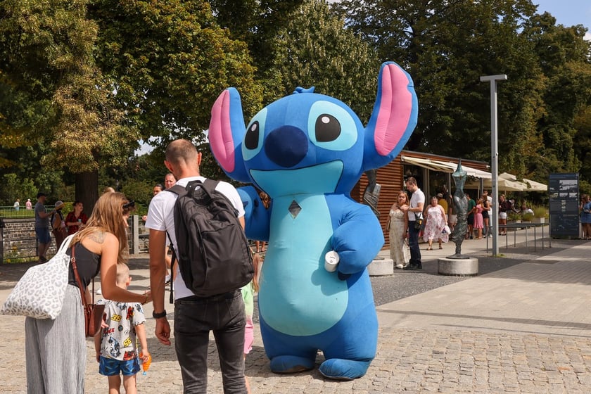 Lato w mieście. Wrocławianie spacerują nad Odrą i na Ostrowie Tumskim