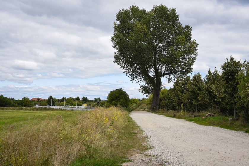 Droga dojazdowa i most nad Ślęzą łączący Muchobory, sierpnień 2025