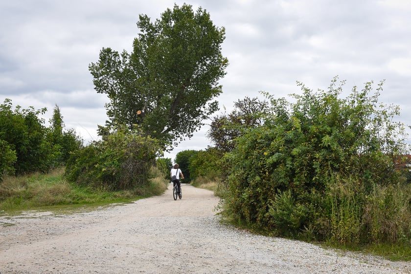 Droga dojazdowa i most nad Ślęzą łączący Muchobory, sierpnień 2025