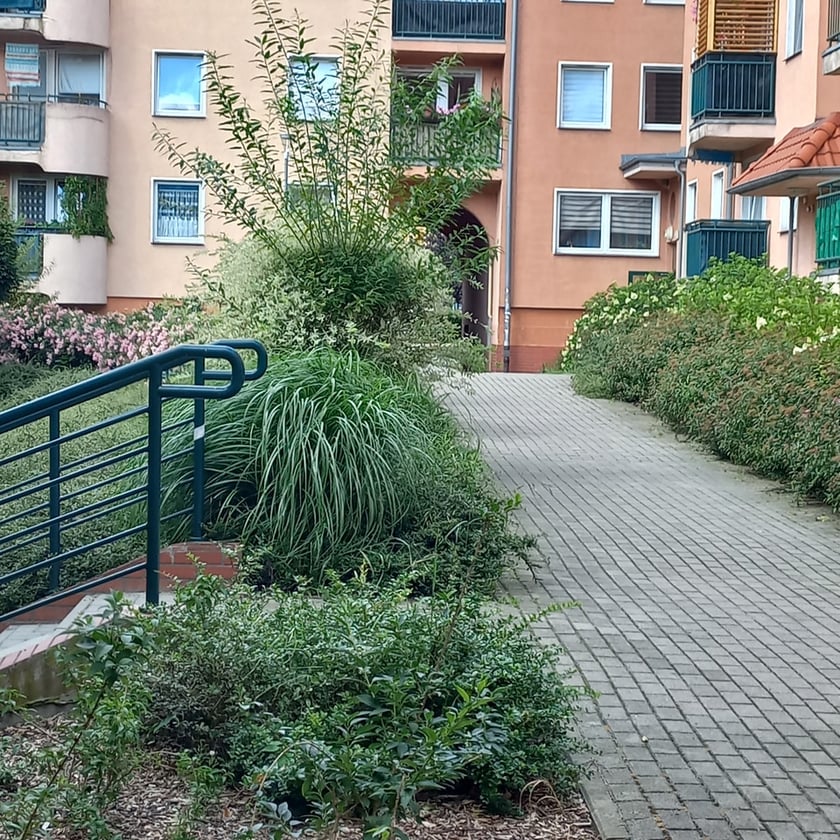 Psie Pole, osiedle TBS Wrocłąw, nowe nasadzenia roslin