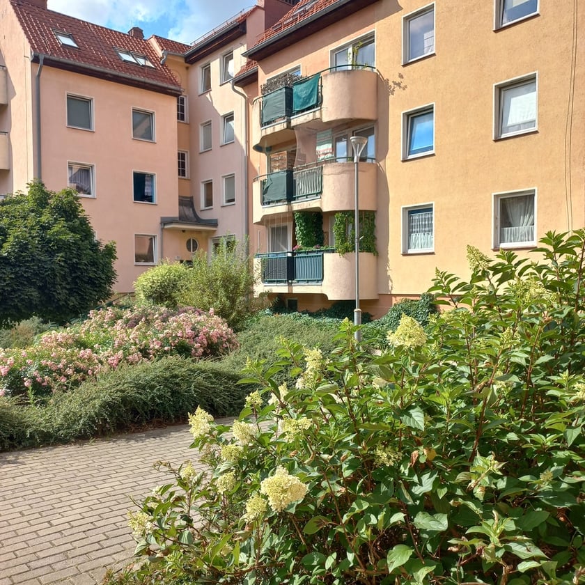 Psie Pole, osiedle TBS Wrocłąw, nowe nasadzenia roslin