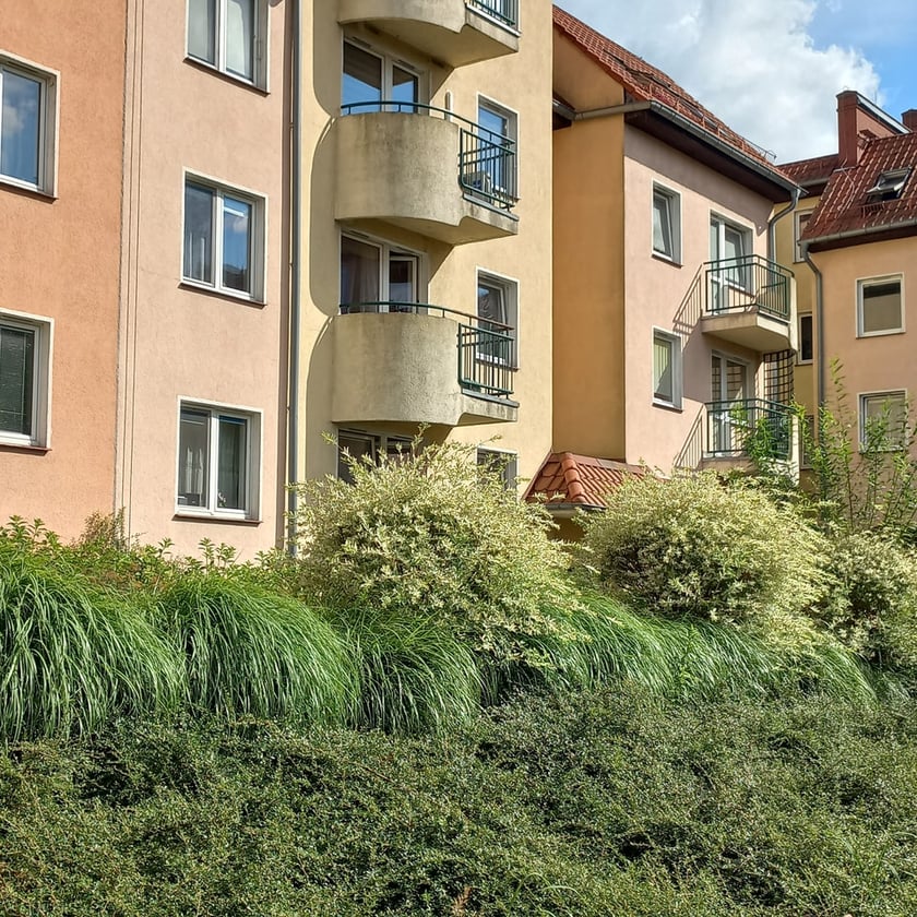 Psie Pole, osiedle TBS Wrocłąw, nowe nasadzenia roslin