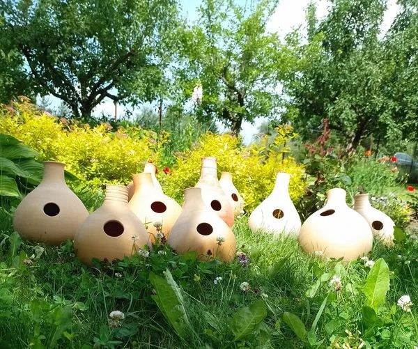 Prace Przemysława Nicewicza