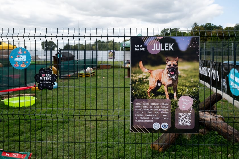 TOZ&nbsp;Schronisko dla Bezdomnych Zwierząt &ndash; otwarcie trzech nowych wybieg&oacute;w