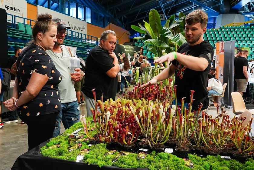 Targi ZooEgzotyka w Hali Orbita w niedzielę 21 września 2025