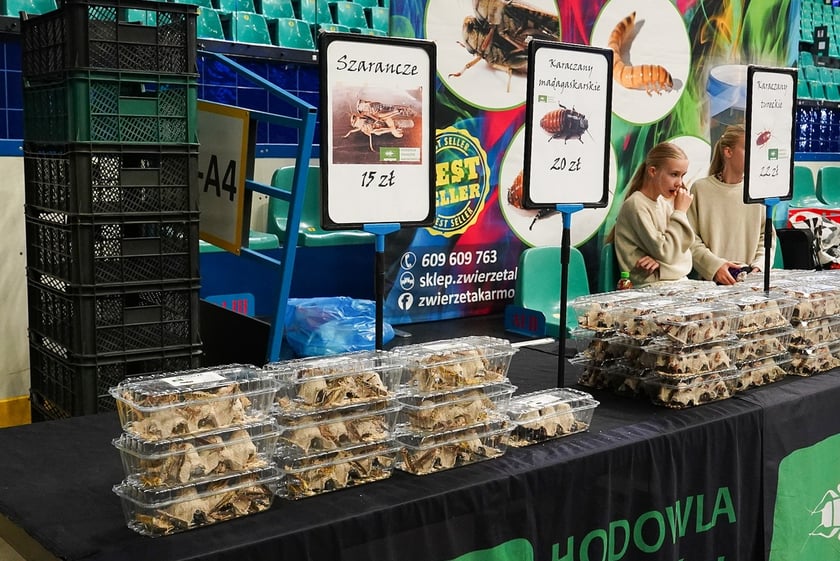 Targi ZooEgzotyka w Hali Orbita w niedzielę 21 września 2025