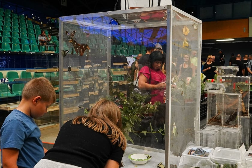 Targi ZooEgzotyka w Hali Orbita w niedzielę 21 września 2025