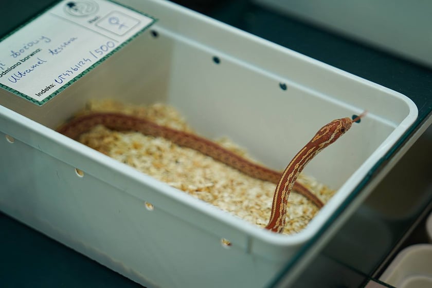 Targi ZooEgzotyka w Hali Orbita w niedzielę 21 września 2025