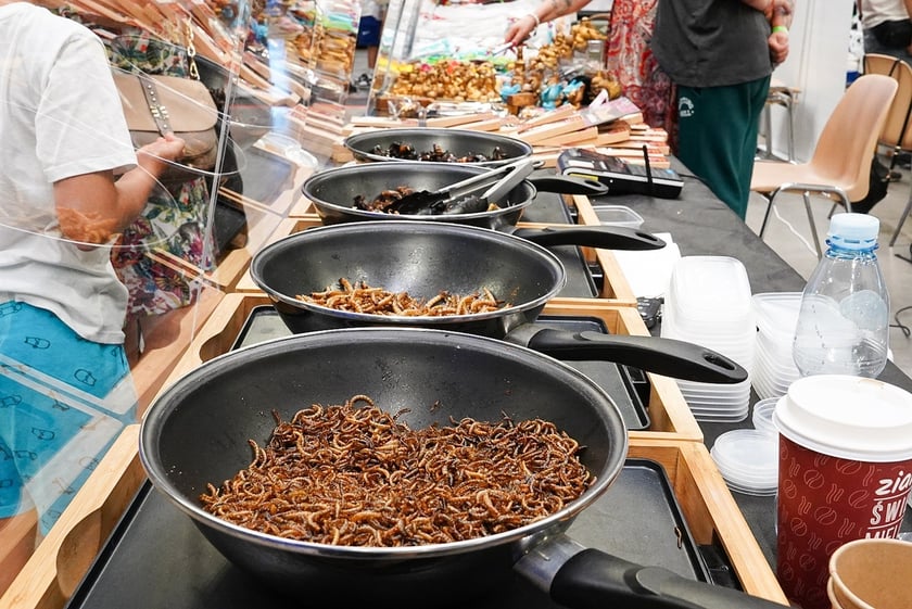 Targi ZooEgzotyka w Hali Orbita w niedzielę 21 września 2025