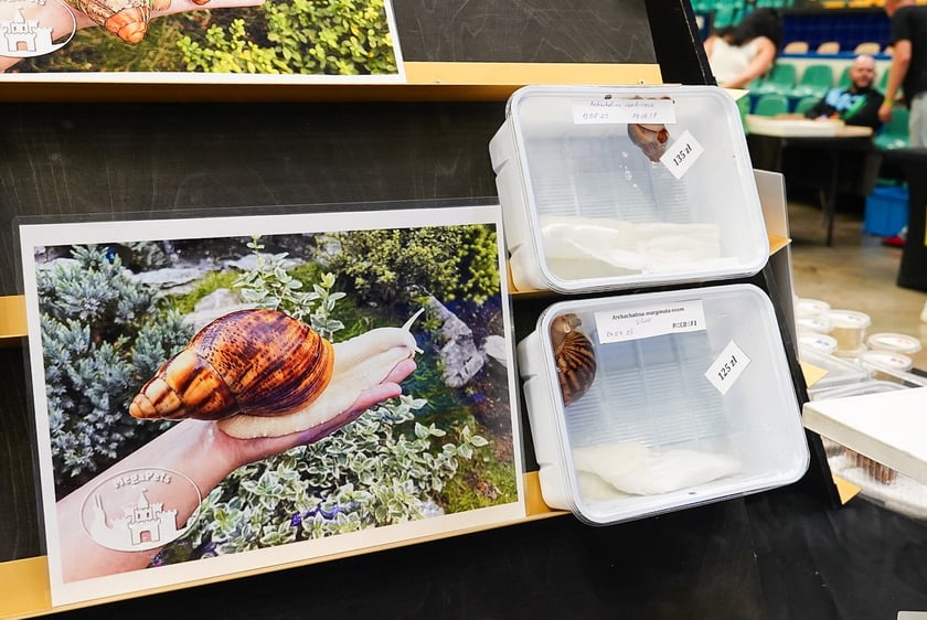 Targi ZooEgzotyka w Hali Orbita w niedzielę 21 września 2025