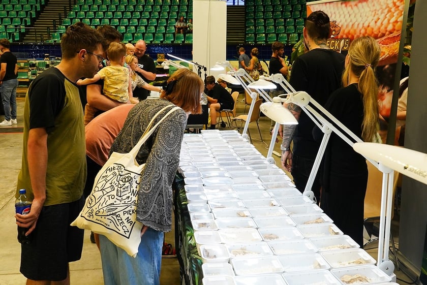 Targi ZooEgzotyka w Hali Orbita w niedzielę 21 września 2025