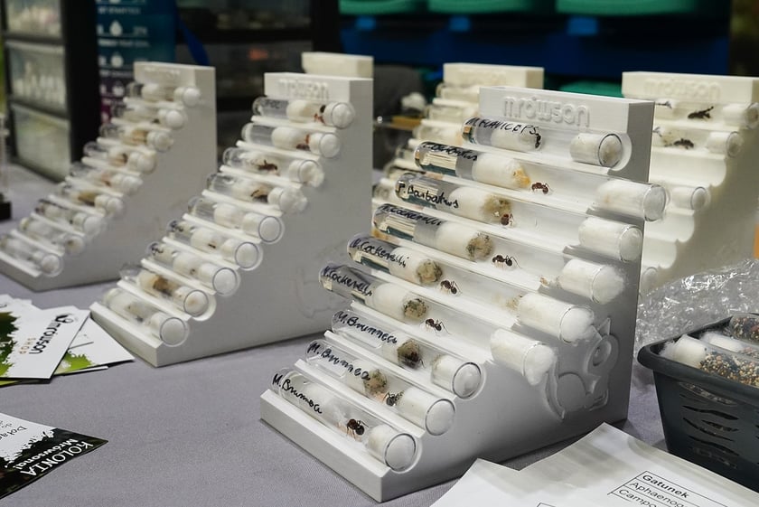 Targi ZooEgzotyka w Hali Orbita w niedzielę 21 września 2025