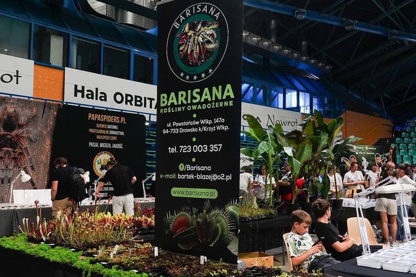 Targi ZooEgzotyka w Hali Orbita w niedzielę 21 września 2025