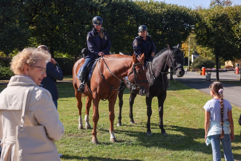 Aglomeracyjny Piknik Komunikacyjny we Wrocławiu