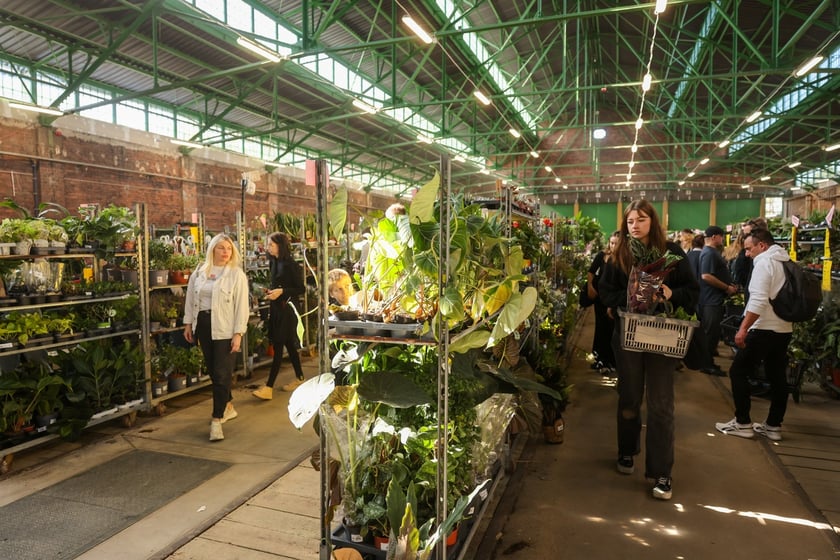 Festiwal Roślin w Czasoprzestrzeni