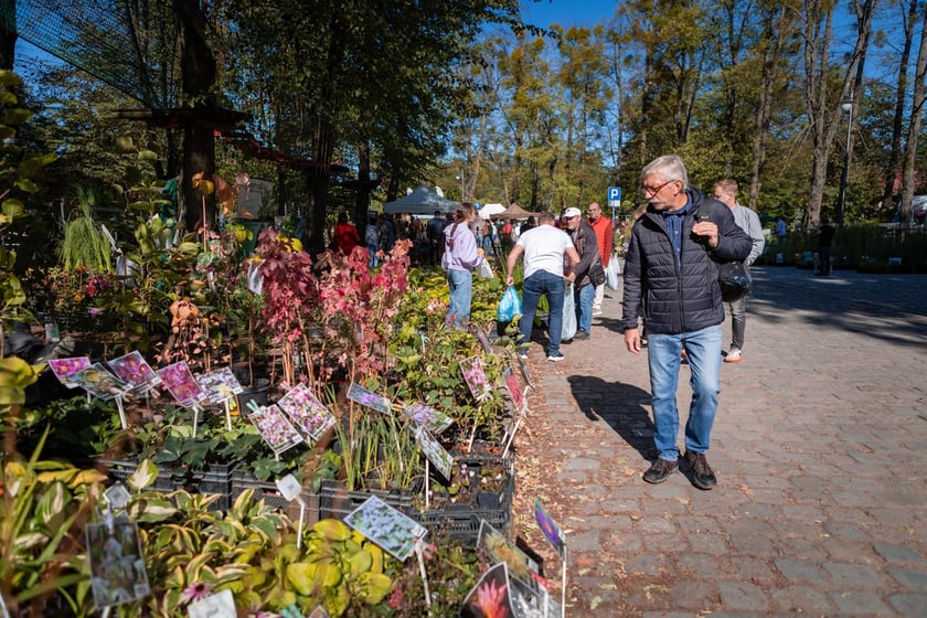 Kiermasz ogrodniczy Pamiętajcie o ogrodach na Partynicach