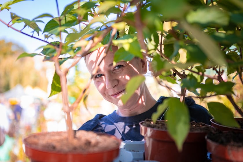 Kiermasz ogrodniczy Pamiętajcie o ogrodach na Partynicach