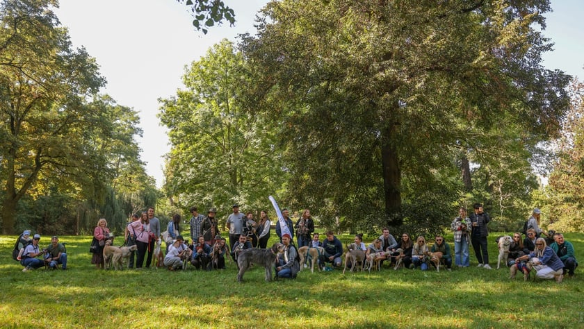 Great Global Greyhound Walk 2025 we Wrocławiu, 28.09.2025 r.