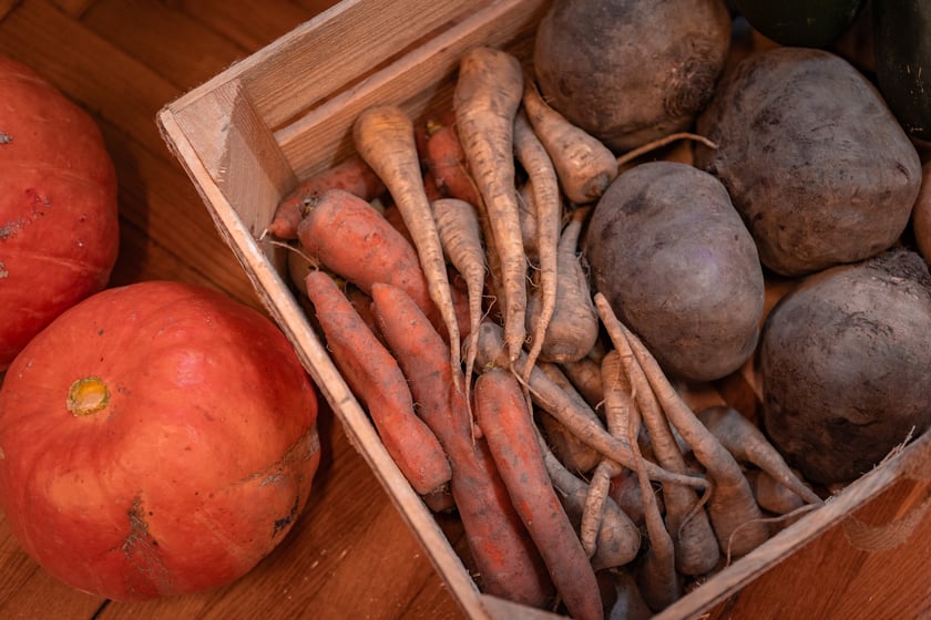 Dieta wegetariańska w kolejnych wrocławskich placówkach - konferencja prasowa 30.09.2025