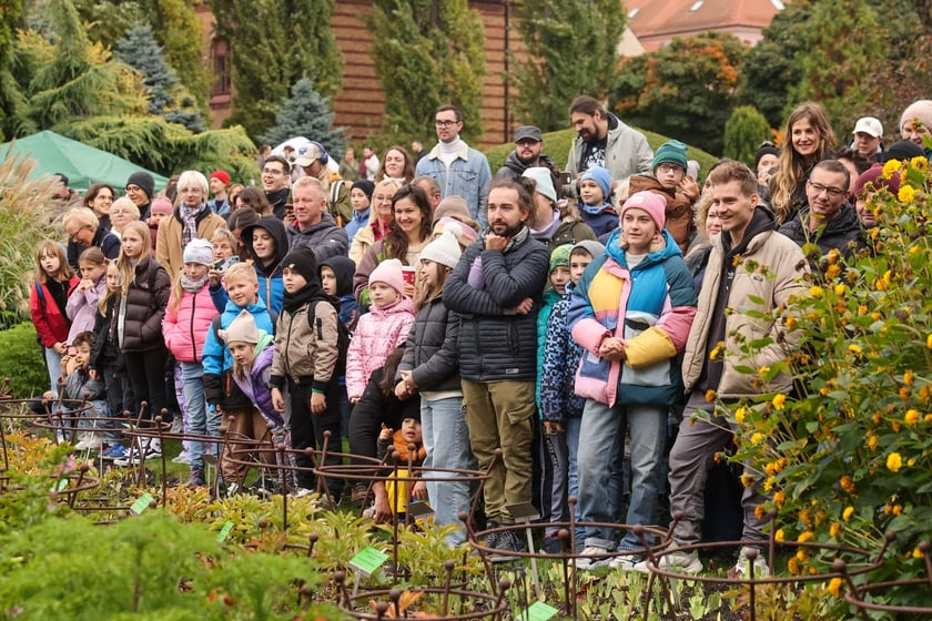 Festiwal Dyni w Ogrodzie Botanicznym 2025