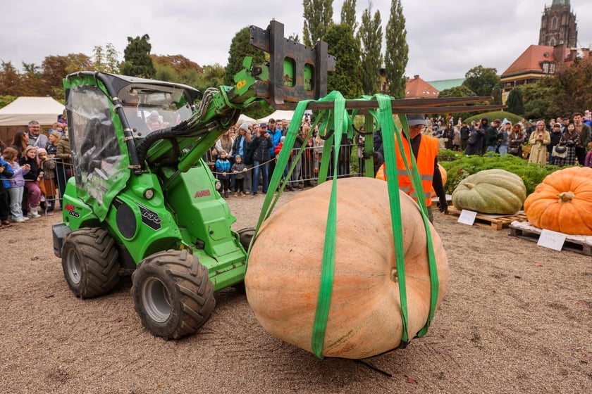 Festiwal Dyni w Ogrodzie Botanicznym 2025