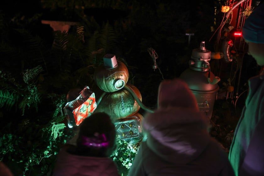 Dyniowe iluminacje w Ogrodzie Botanicznym.