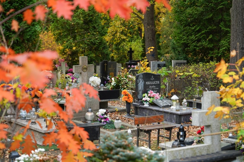 Przygotowania do Wszystkich Świętych na cmentarzu Grabiszyńskim - 26.10.2025