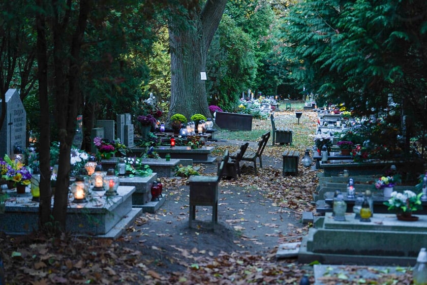 Przygotowania do Wszystkich Świętych na cmentarzu Grabiszyńskim - 26.10.2025