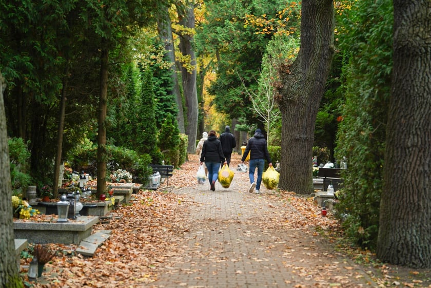 Przygotowania do Wszystkich Świętych na cmentarzu Grabiszyńskim - 26.10.2025