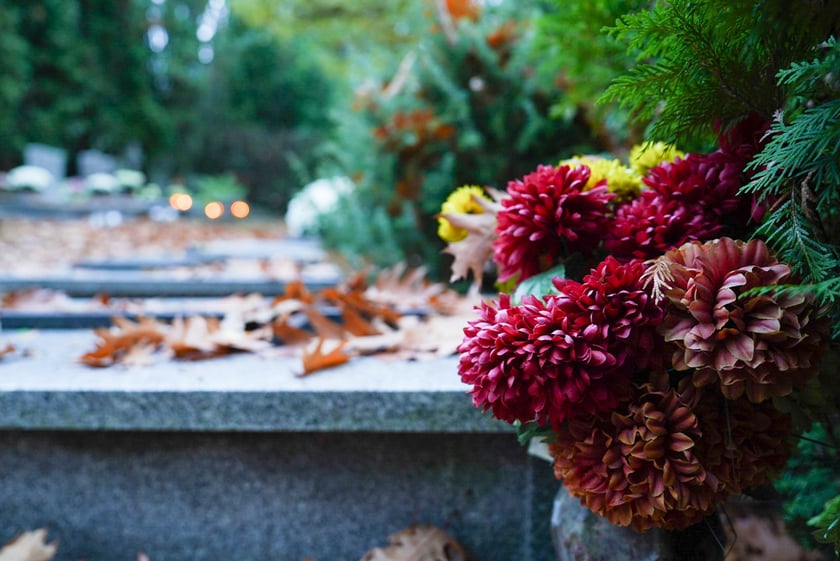 Przygotowania do Wszystkich Świętych na cmentarzu Grabiszyńskim - 26.10.2025