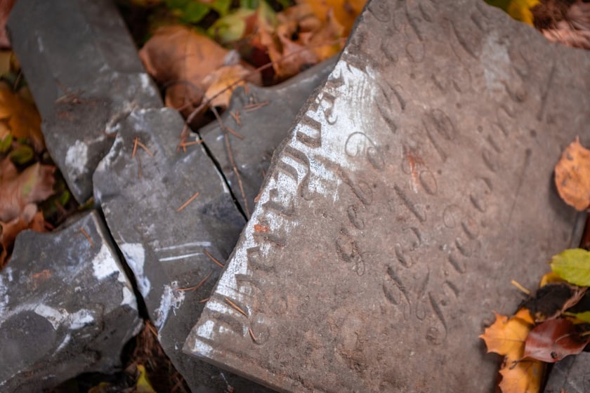 W Ogrodzie Botaniczym odznaleziono na pozostałości dawnego cmentarza