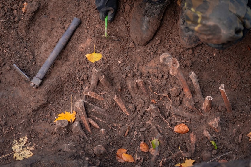W Ogrodzie Botaniczym odznaleziono na pozostałości dawnego cmentarza