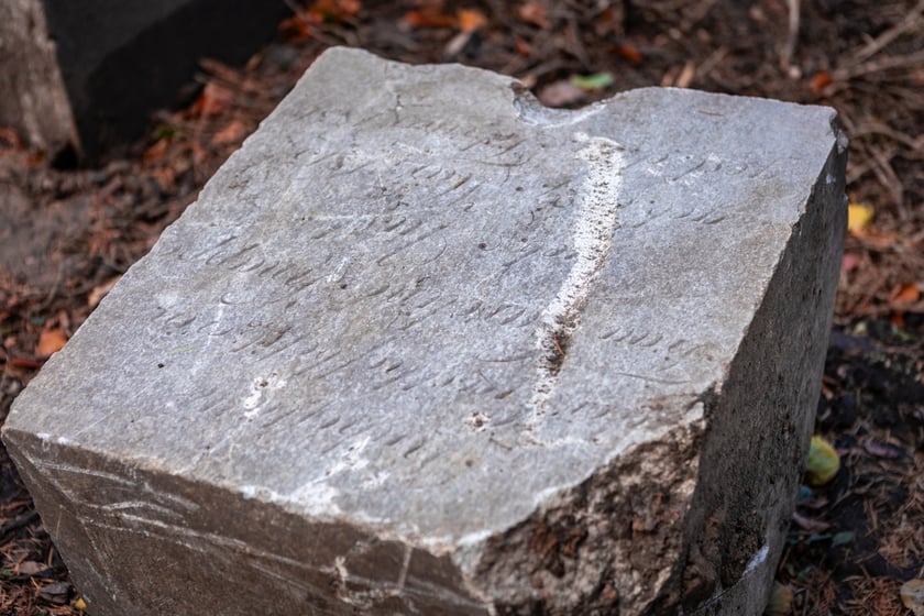 W Ogrodzie Botaniczym odznaleziono na pozostałości dawnego cmentarza