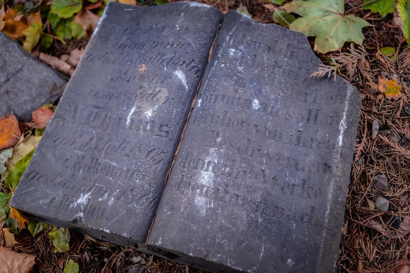 W Ogrodzie Botaniczym odznaleziono na pozostałości dawnego cmentarza