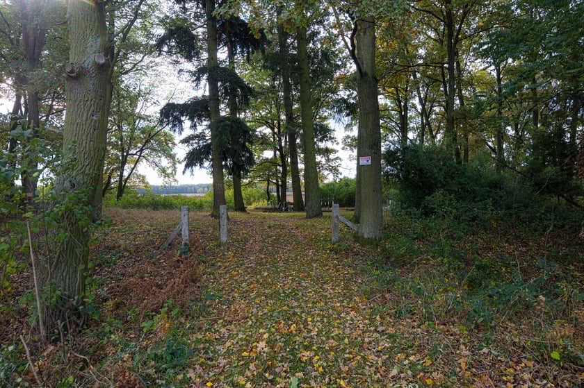 Cmentarz ewangelicki w Grabownicy - w środku pola, w niewielkim zagajniku