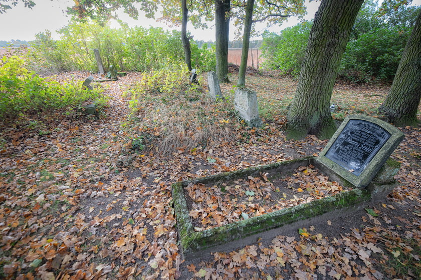 Cmentarz ewangelicki w Grabownicy - w środku pola, w niewielkim zagajniku
