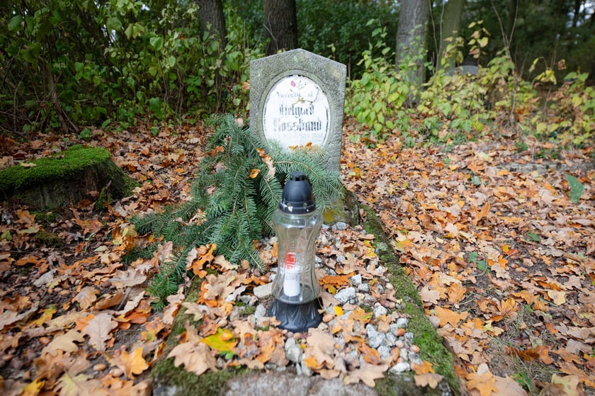 Cmentarz ewangelicki w Grabownicy - w środku pola, w niewielkim zagajniku