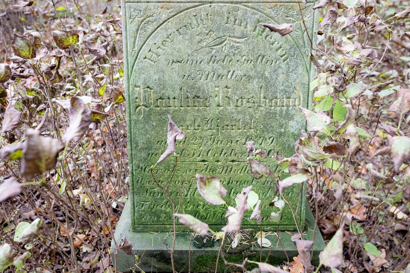 Cmentarz ewangelicki w Grabownicy - w środku pola, w niewielkim zagajniku