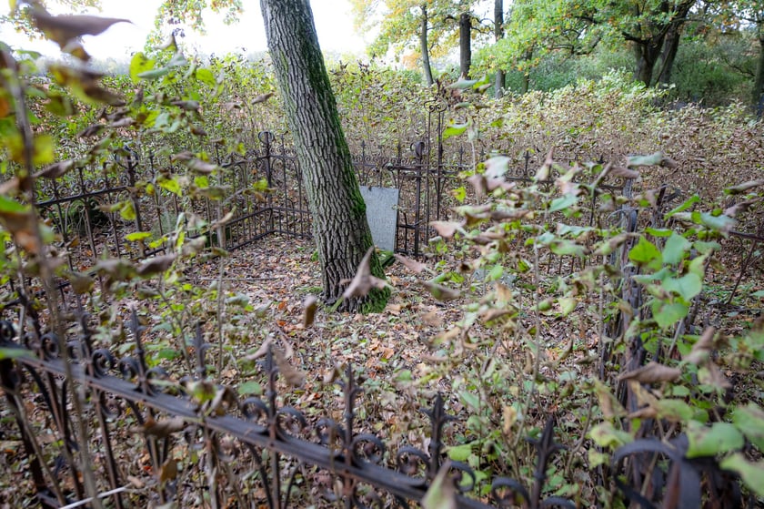 Cmentarz ewangelicki w Grabownicy - w środku pola, w niewielkim zagajniku