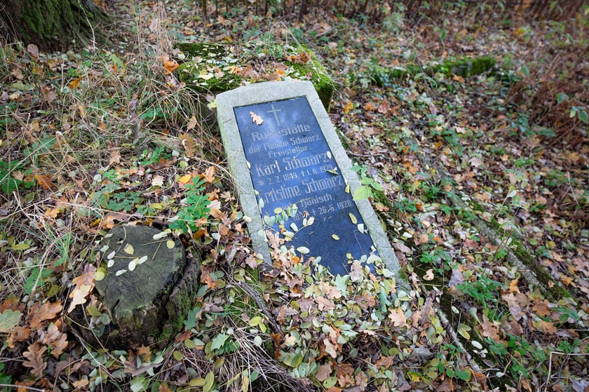 Cmentarz ewangelicki w Grabownicy - w środku pola, w niewielkim zagajniku